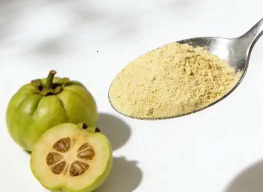 Garcinia fruit representing appetite control